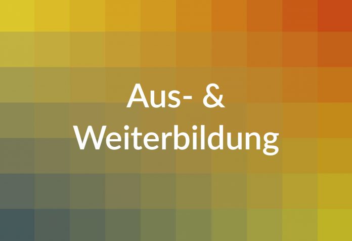 HITS: „Journalist in Residence“-Programm wird international