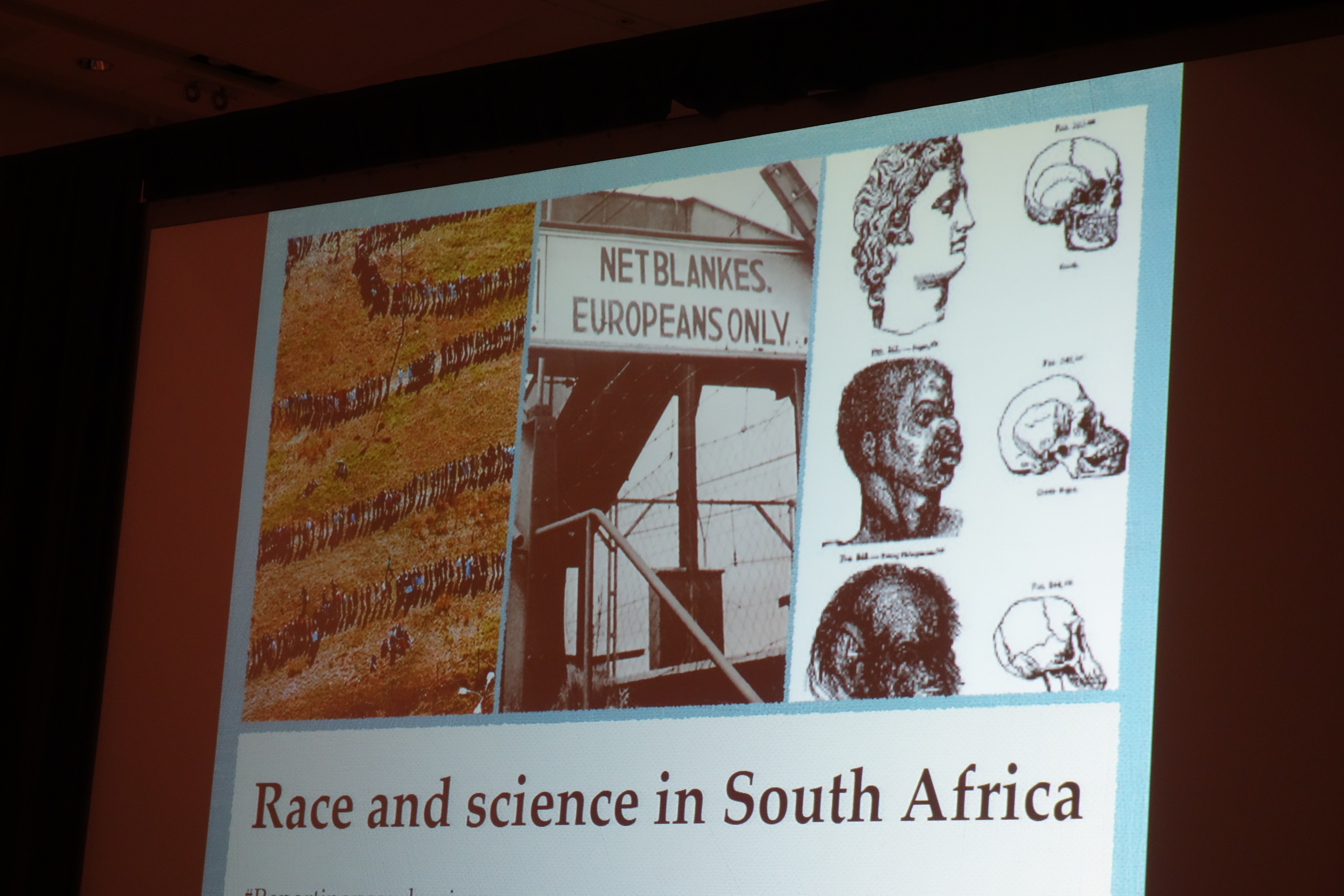 2_Scientific Racism