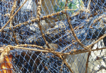 Werkzeuge auch für Wissenschafts- und Technikjournalisten