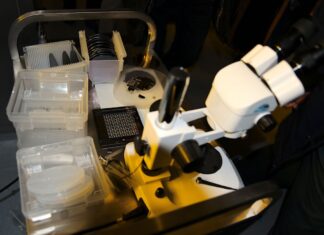 MINT: Europa muss US-Modell nicht nachahmen Die Nanotechnologie ist ein Schwerpunktbereich der Forschung am CEITEC BUT.